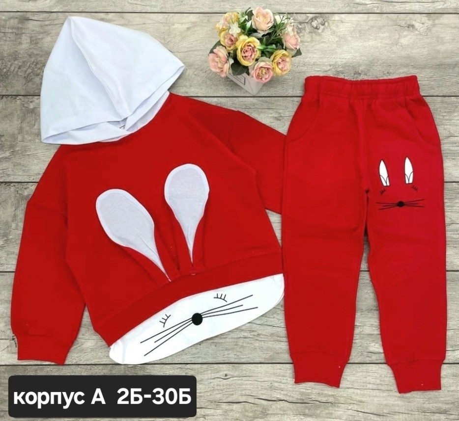 флисовый детский костюм,детские костюмы,костюмы спортивные для девочки,комплект костюм,костюмы двойки