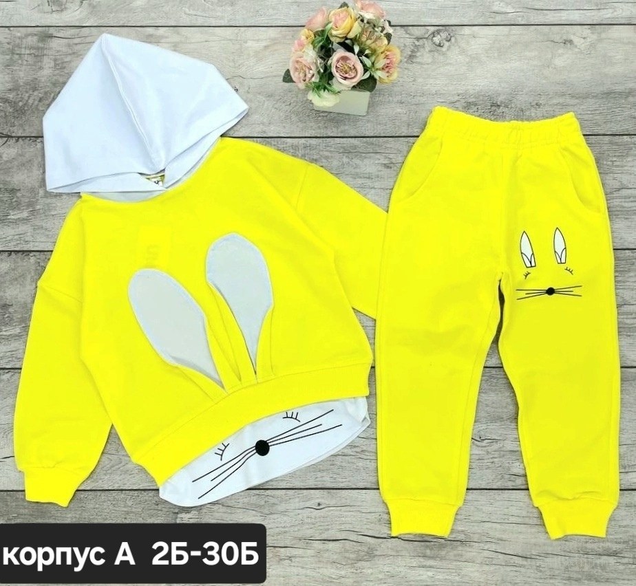 флисовый детский костюм,детские костюмы,костюмы спортивные для девочки,комплект костюм,костюмы двойки