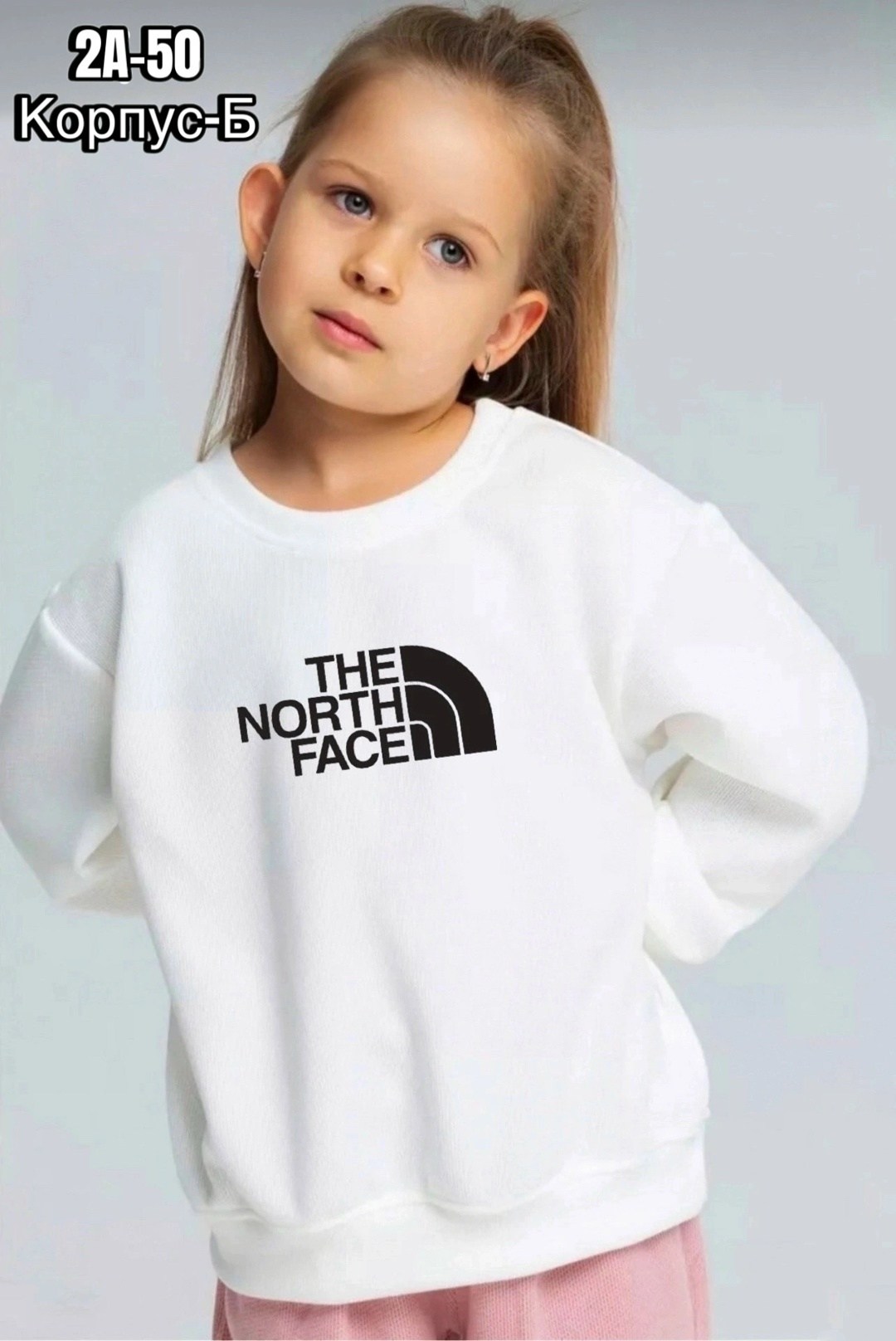 толстовка the north face,мужские свитшоты,свитшот женская,мужские толстовки the north face,толстовка