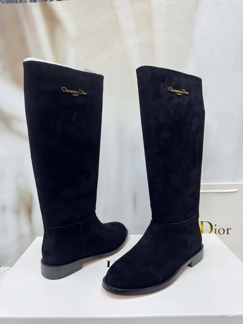 замшевые сапоги,,женские сапоги,сапожки,сапоги поллини