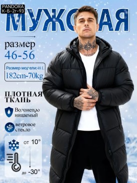 Верхняя одежда