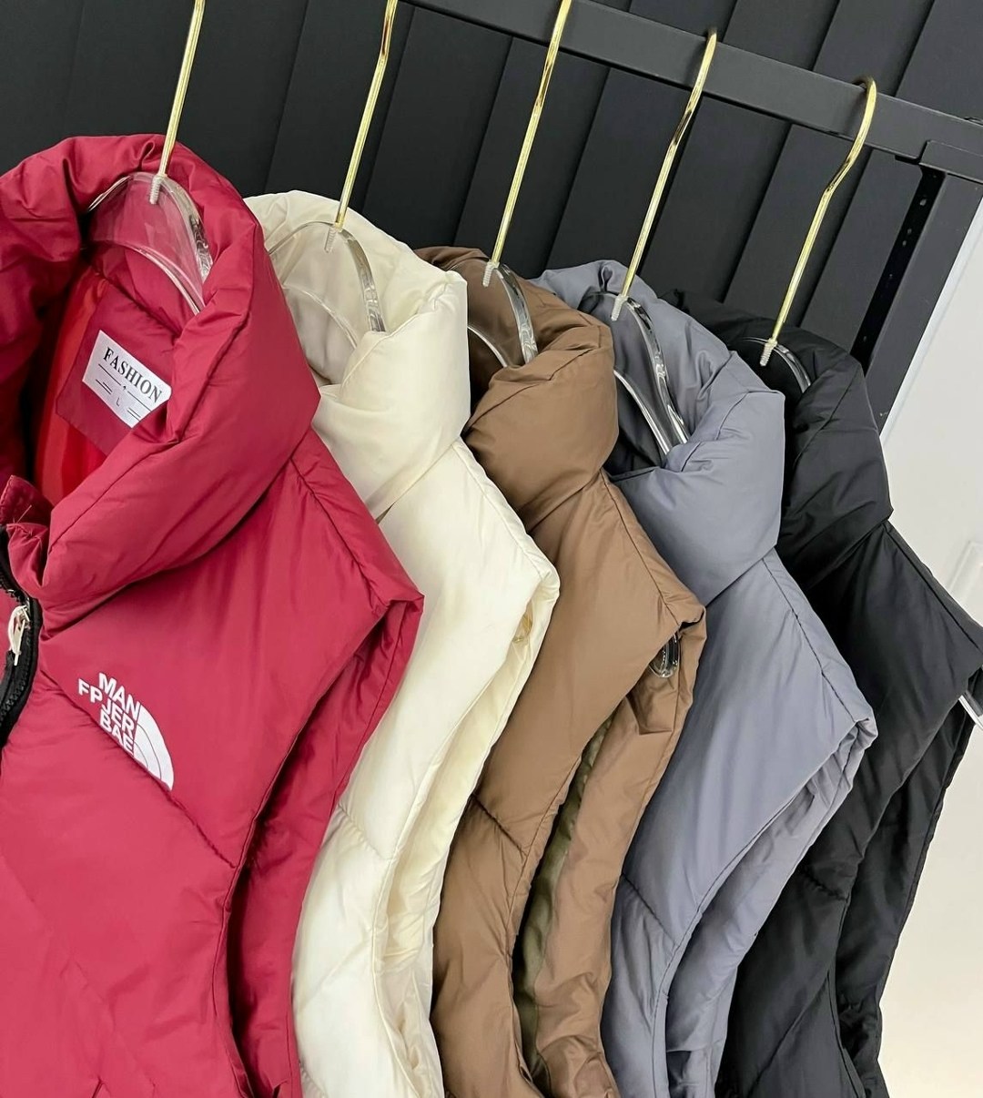 жилетка,жилетка женская,жилет,жилет the north face,жилетка the north face