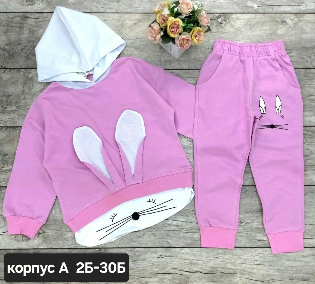 флисовый детский костюм,детские костюмы,костюмы спортивные для девочки,комплект костюм,костюмы двойки