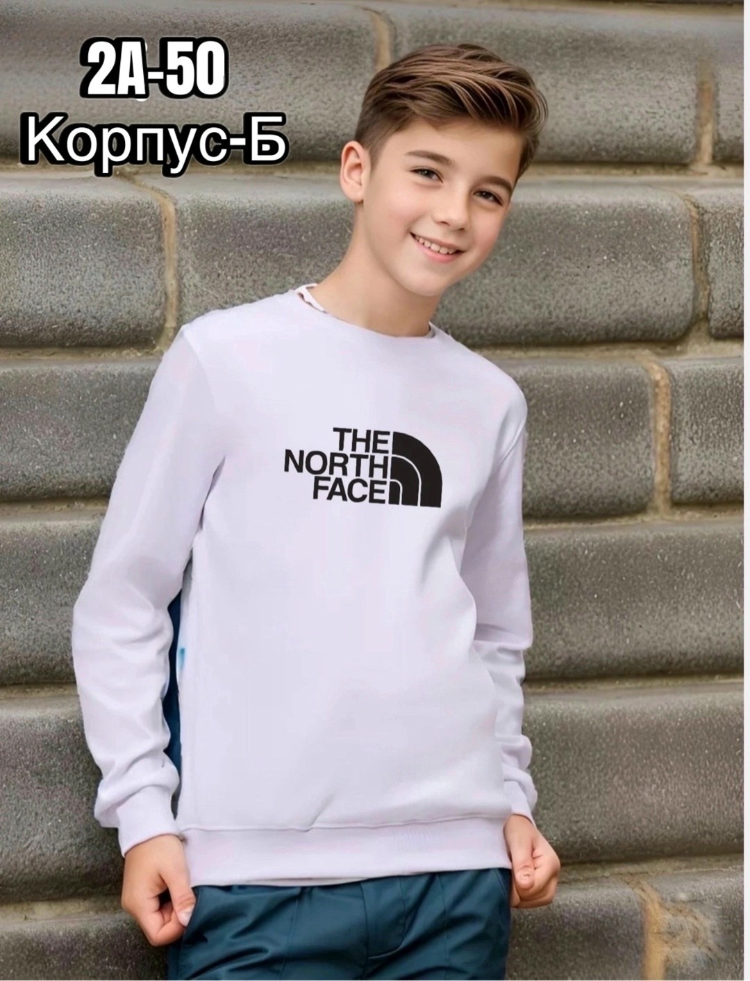 толстовка the north face,мужские свитшоты,свитшот женская,мужские толстовки the north face,толстовка