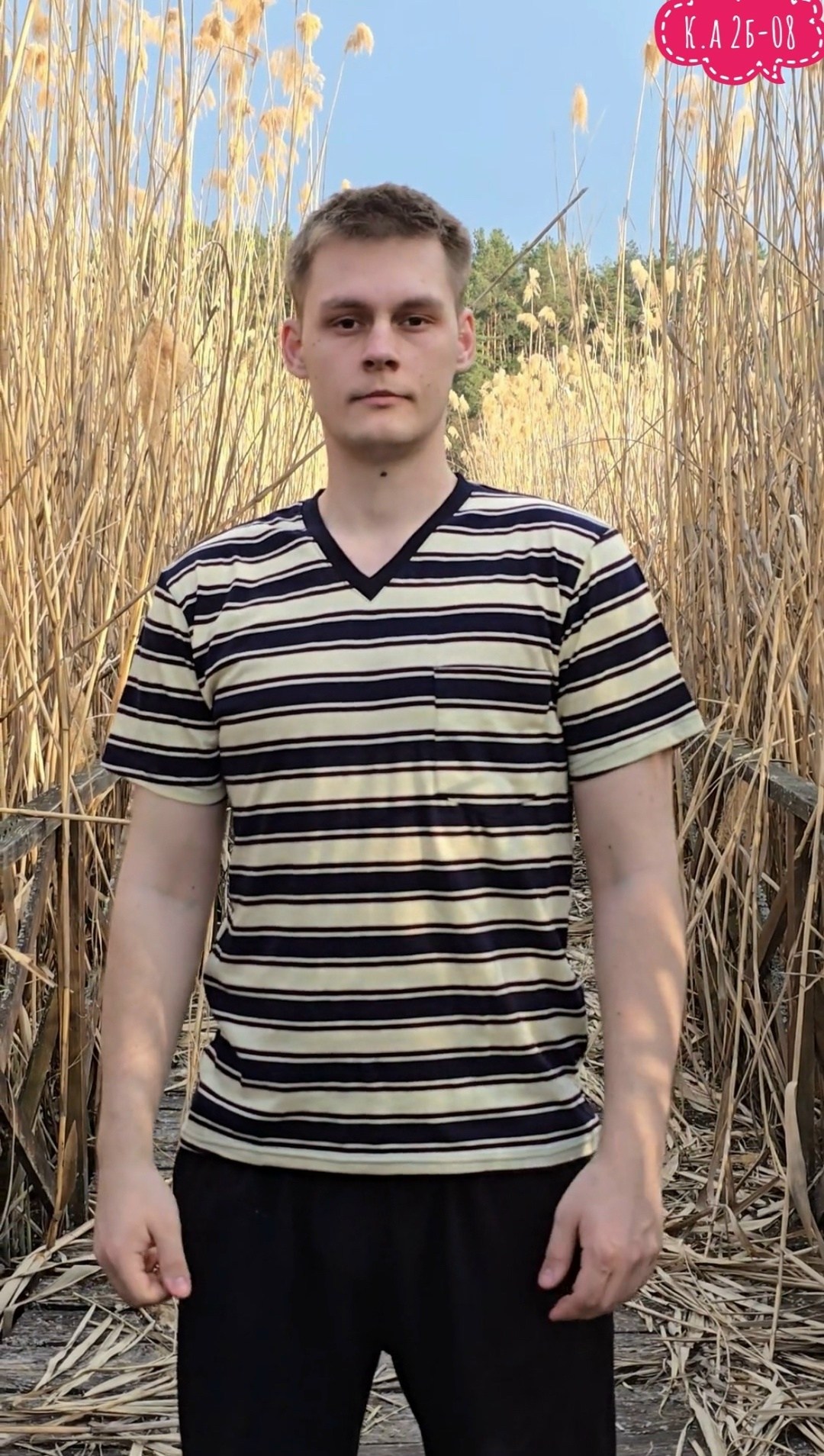 футболки мужские,футболка мужская в полоску,мужская футболка поло,футболке,мужская базовая футболка