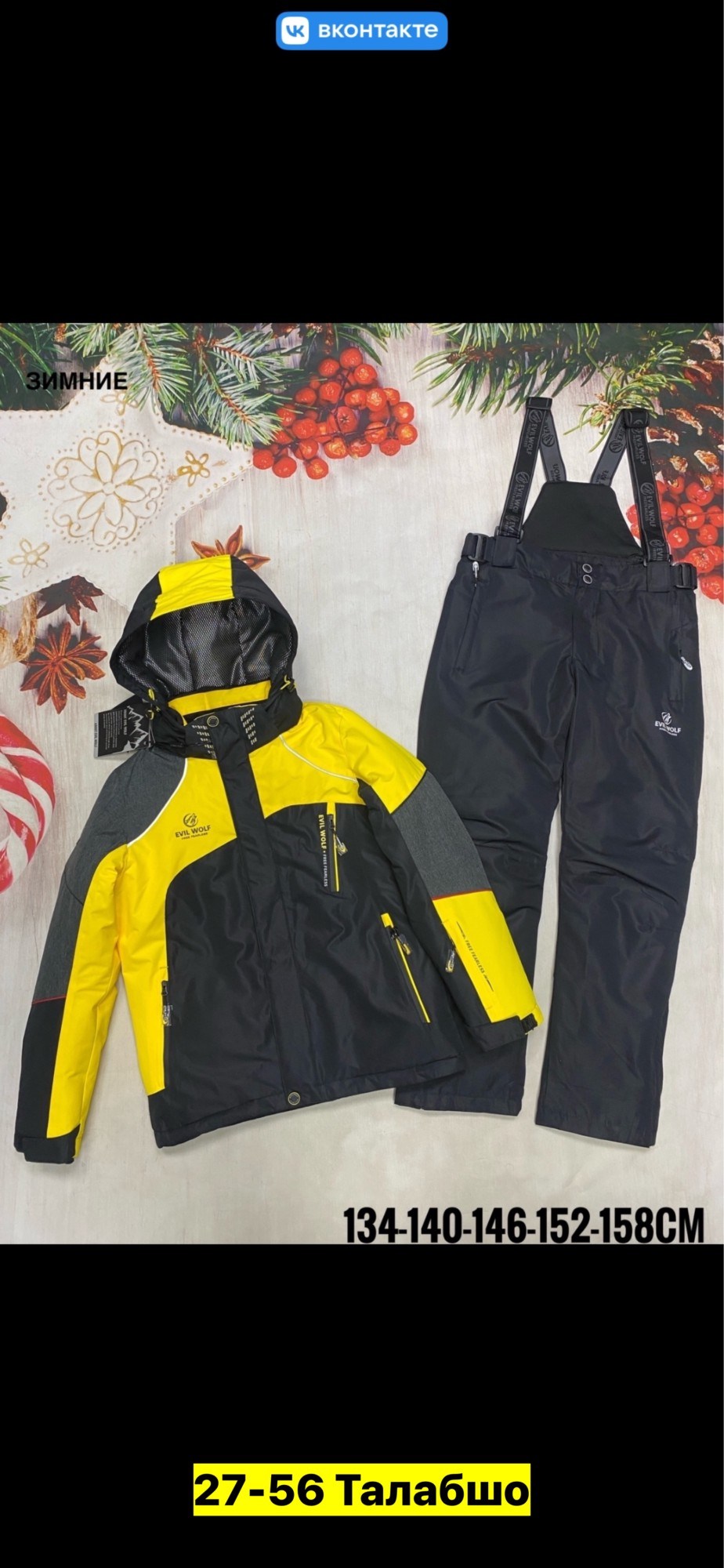 костюмы горнолыжные,зимний костюм для мальчика,горнолыжный костюм детский,зимний горнолыжный костюм для мальчика,костюм зимний горнолыжный