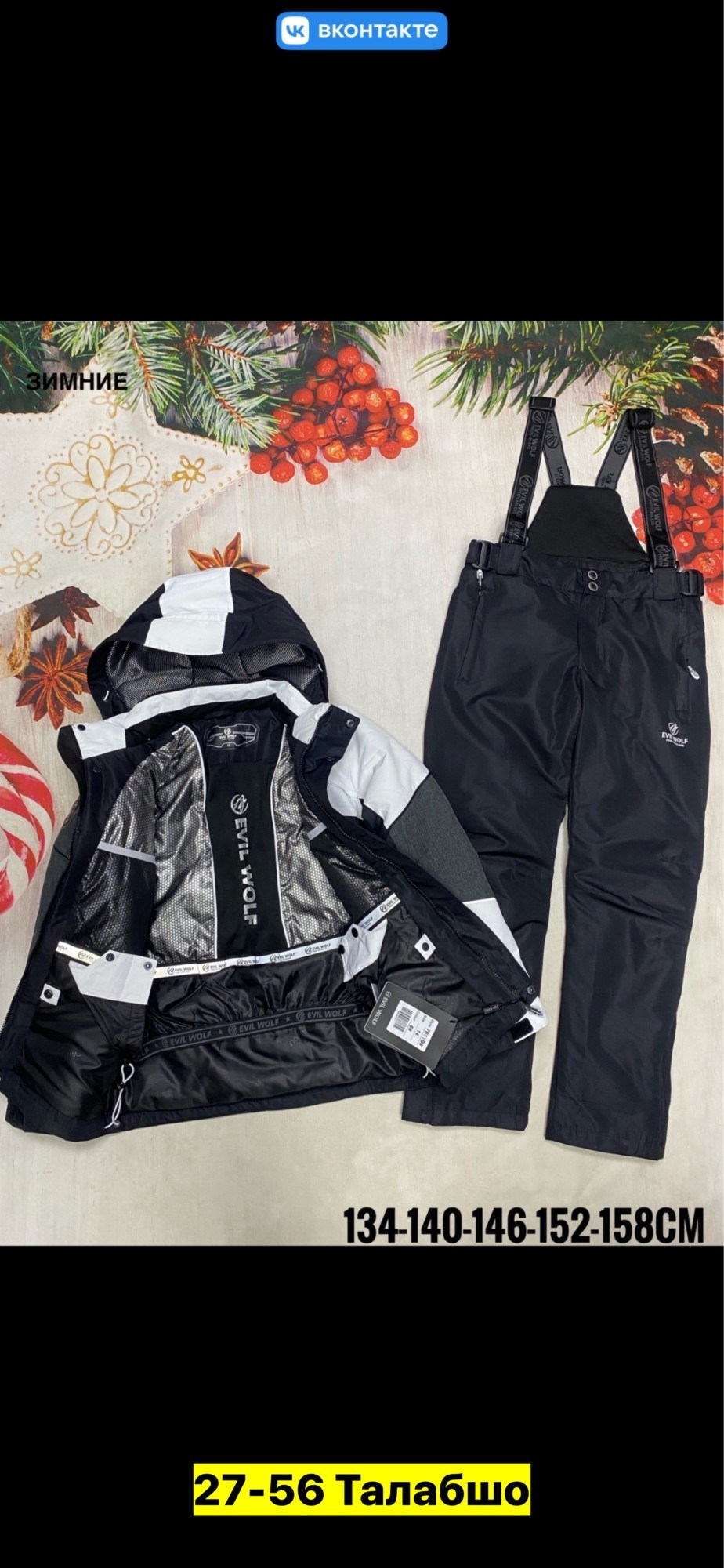 костюмы горнолыжные,зимний костюм для мальчика,горнолыжный костюм детский,зимний горнолыжный костюм для мальчика,костюм зимний горнолыжный