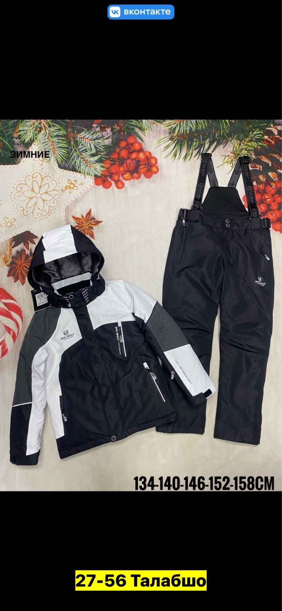 костюмы горнолыжные,зимний костюм для мальчика,горнолыжный костюм детский,зимний горнолыжный костюм для мальчика,костюм зимний горнолыжный