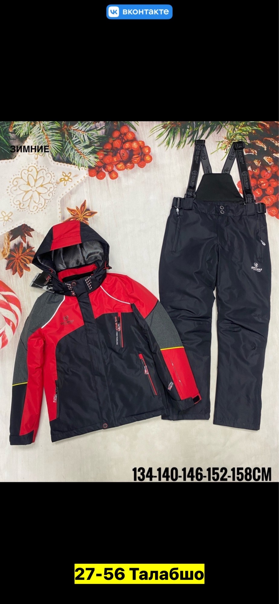 костюмы горнолыжные,зимний костюм для мальчика,горнолыжный костюм детский,зимний горнолыжный костюм для мальчика,костюм зимний горнолыжный