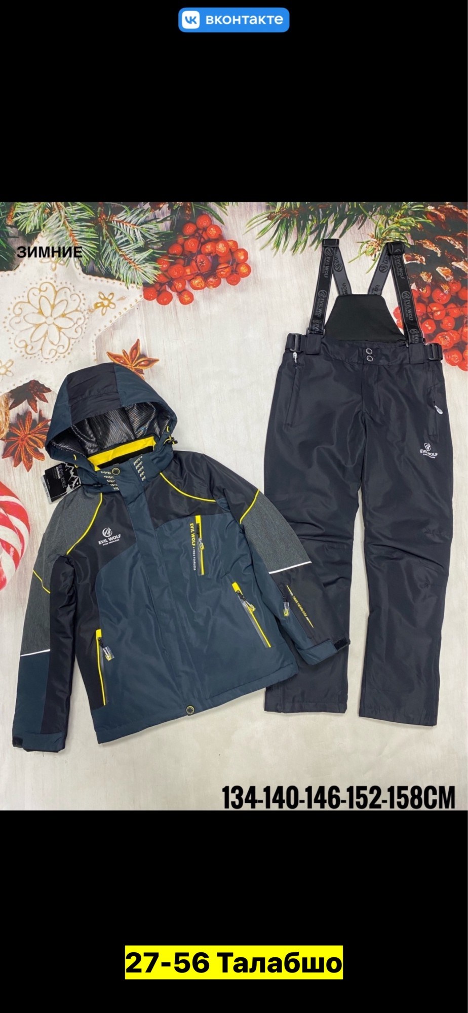 костюмы горнолыжные,зимний костюм для мальчика,горнолыжный костюм детский,зимний горнолыжный костюм для мальчика,костюм зимний горнолыжный