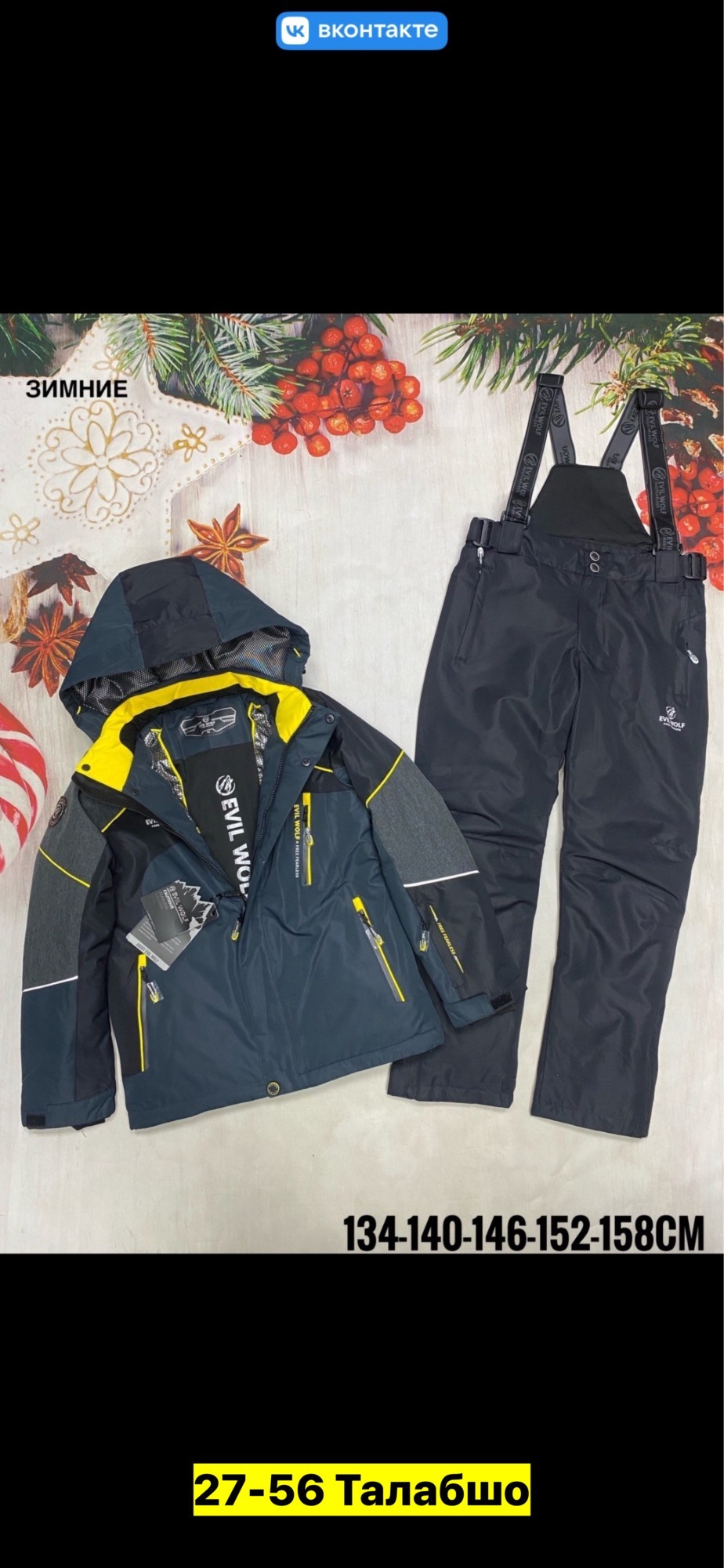 костюмы горнолыжные,зимний костюм для мальчика,горнолыжный костюм детский,зимний горнолыжный костюм для мальчика,костюм зимний горнолыжный