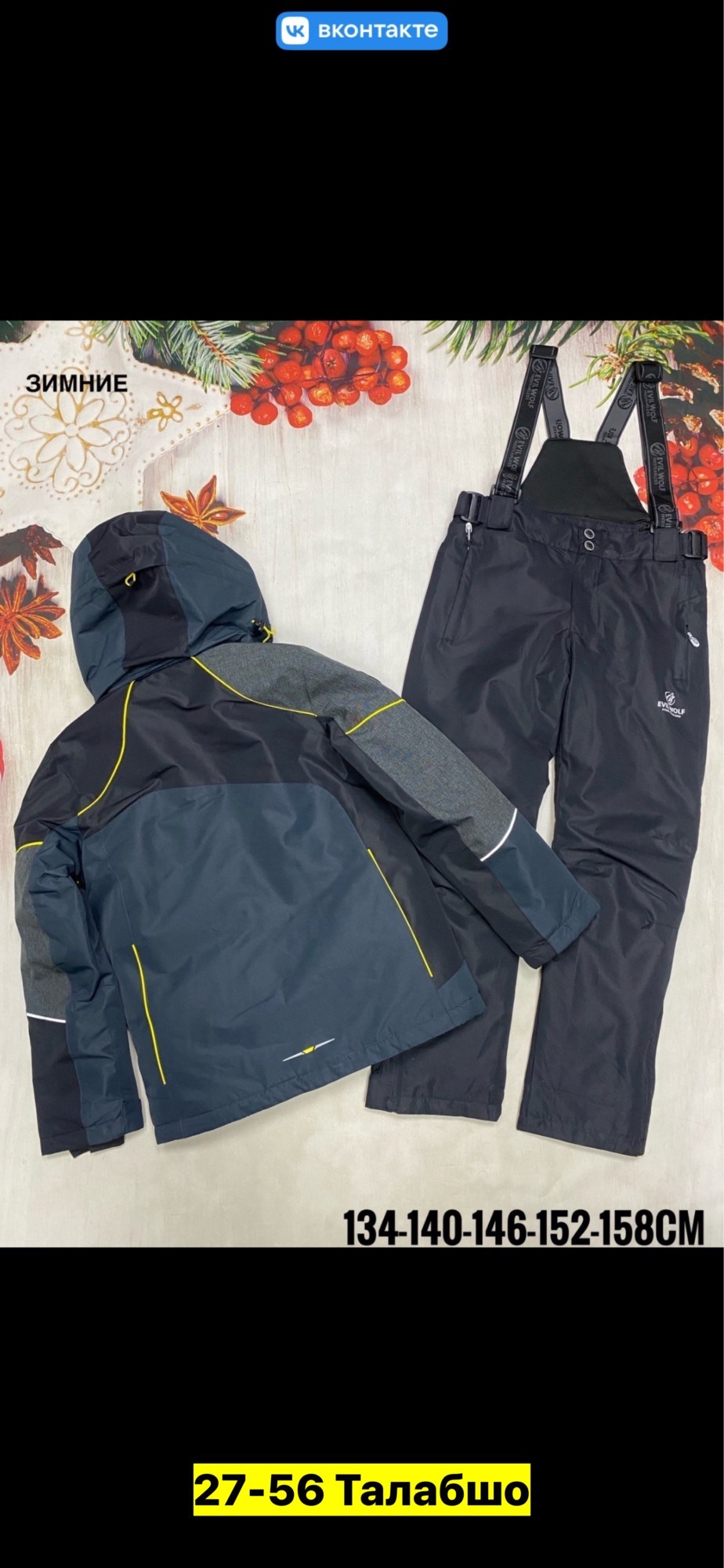 костюмы горнолыжные,зимний костюм для мальчика,горнолыжный костюм детский,зимний горнолыжный костюм для мальчика,костюм зимний горнолыжный