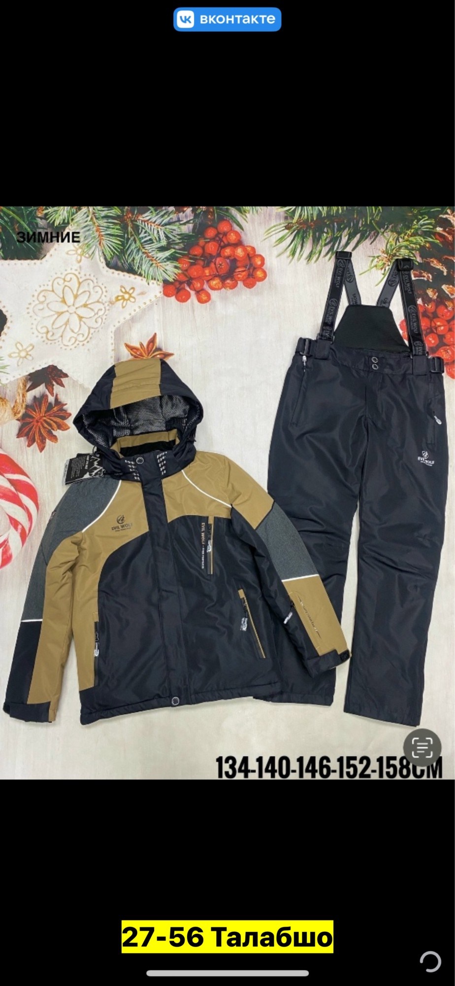 костюмы горнолыжные,зимний костюм для мальчика,горнолыжный костюм детский,зимний горнолыжный костюм для мальчика,костюм зимний горнолыжный