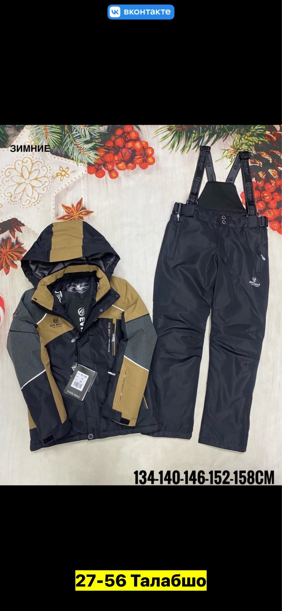 костюмы горнолыжные,зимний костюм для мальчика,горнолыжный костюм детский,зимний горнолыжный костюм для мальчика,костюм зимний горнолыжный