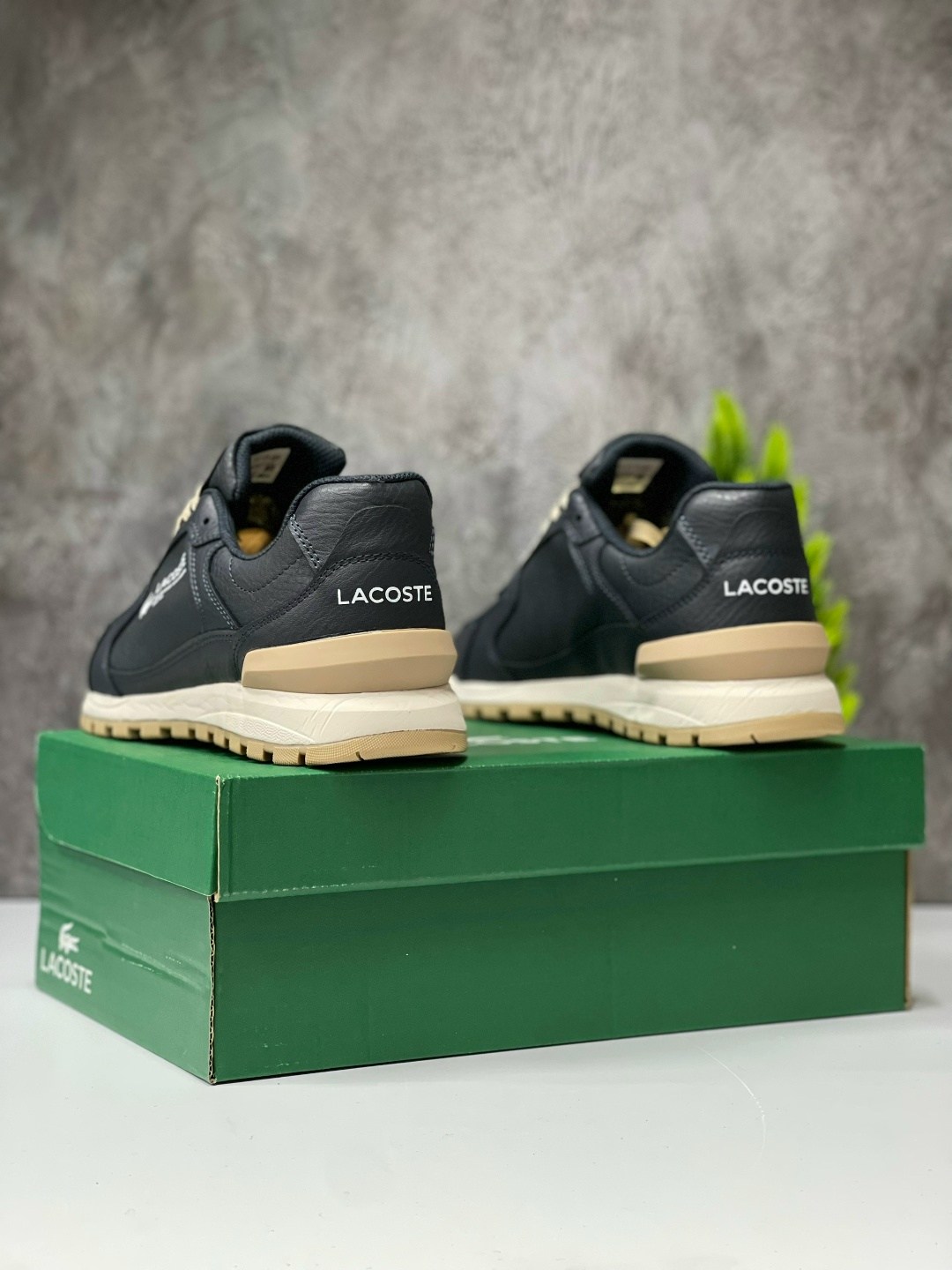 кроссовки мужские lacoste,кроссовки lacoste,,мужские кроссовки,кроссовки демисезонные мужские