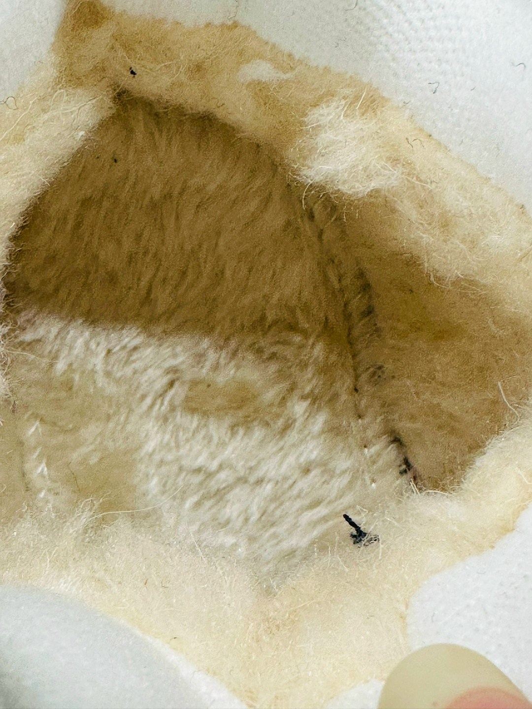 зимние кроссовки рибок женские,рибок кроссовки женские зимние высокие,зимние кроссовки reebok,зимние кроссовки женские рибок с натуральным мехом классик,кроссовки рибок женские белые зимние