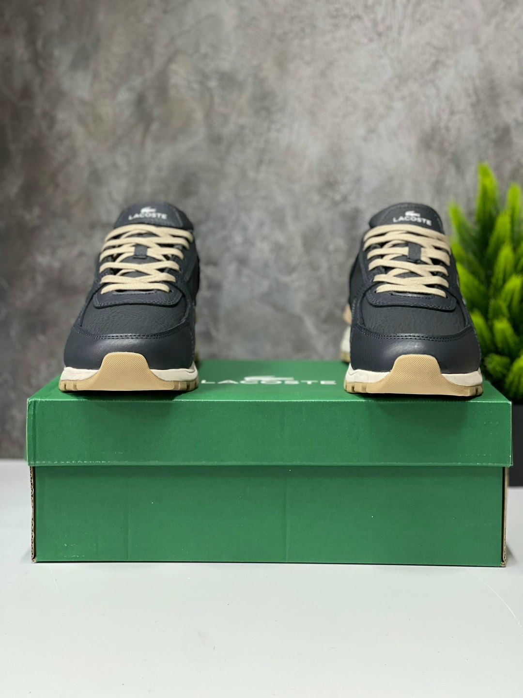 кроссовки мужские lacoste,кроссовки lacoste,,мужские кроссовки,кроссовки демисезонные мужские