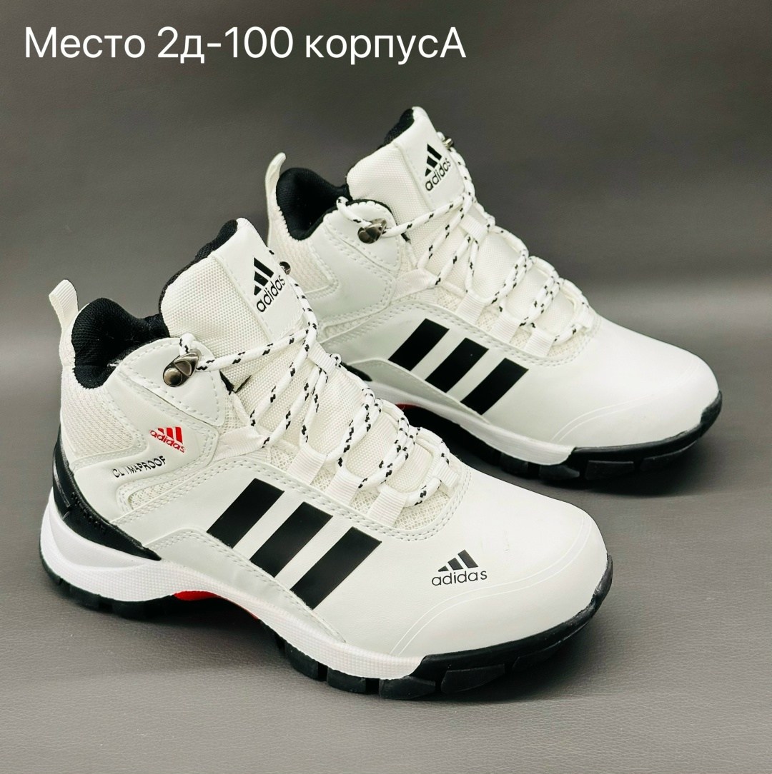 кроссовки adidas terrex зимние,кроссовки зимние adidas,кроссовки мужские зимние adidas,кроссовки adidas,adidas кроссовки мужские