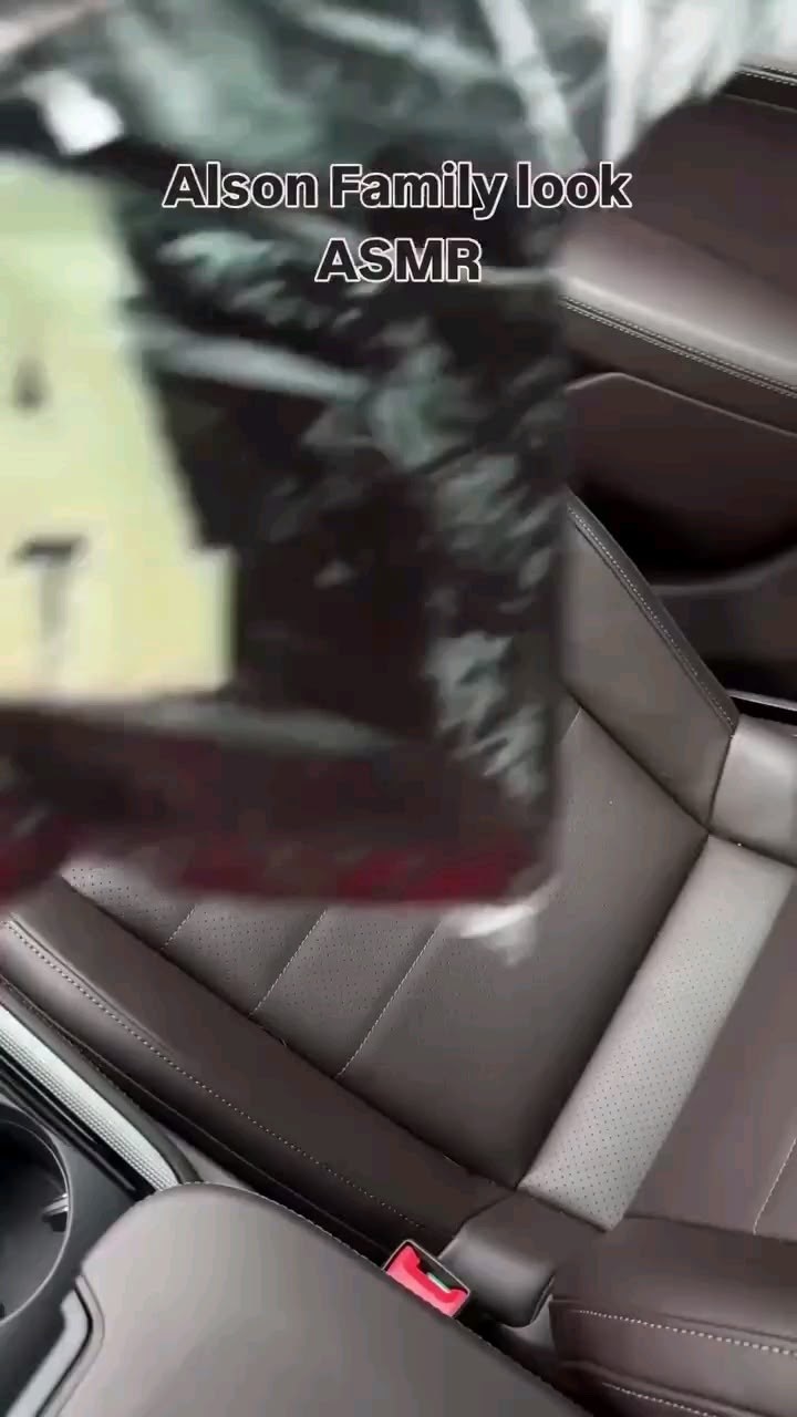 в автомобиле,авто,автомобильное сиденье,поставки автомобиль,автомобиль крутой