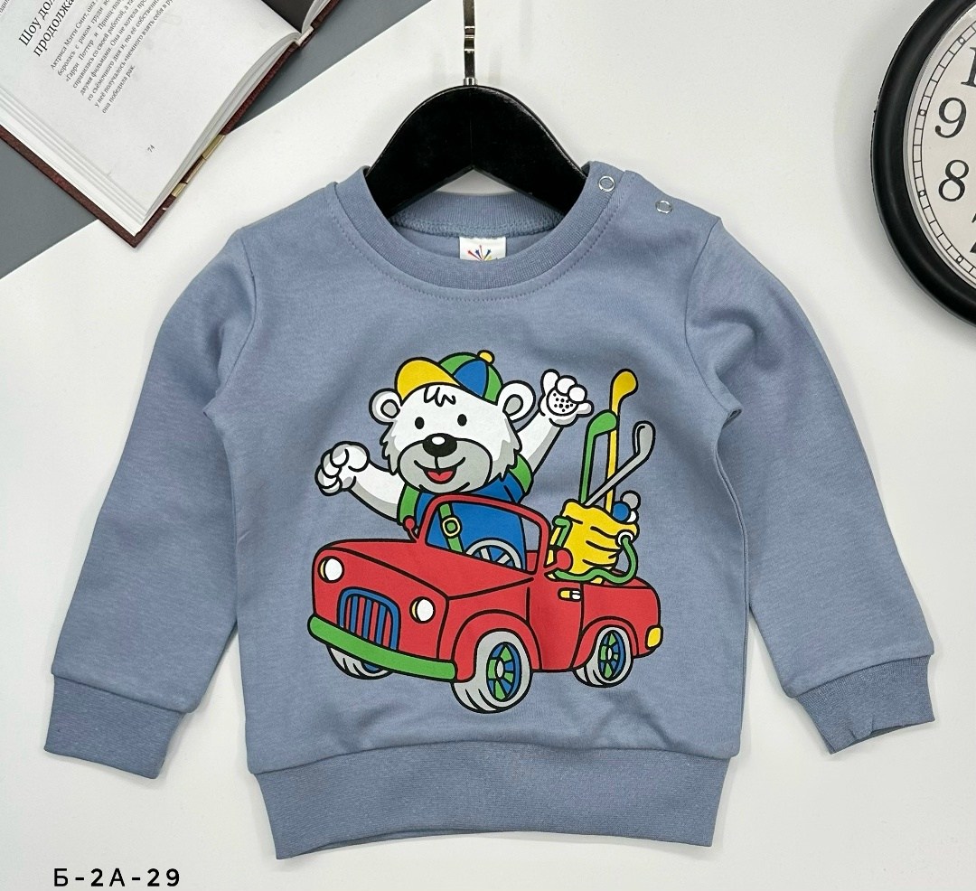 джемпер детский,детский свитшот,толстовка свитшот для мальчика,кофта для мальчика,свитшот для мальчиков детский