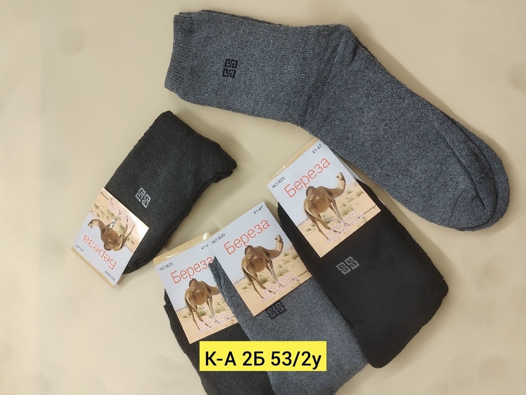 носки байвэй верблюжья шерсть,термоноски мужские уют 1885 верблюжья шерсть,мужские носки,термоноски из верблюжей шерсти,верблюжья шерсть термоноски