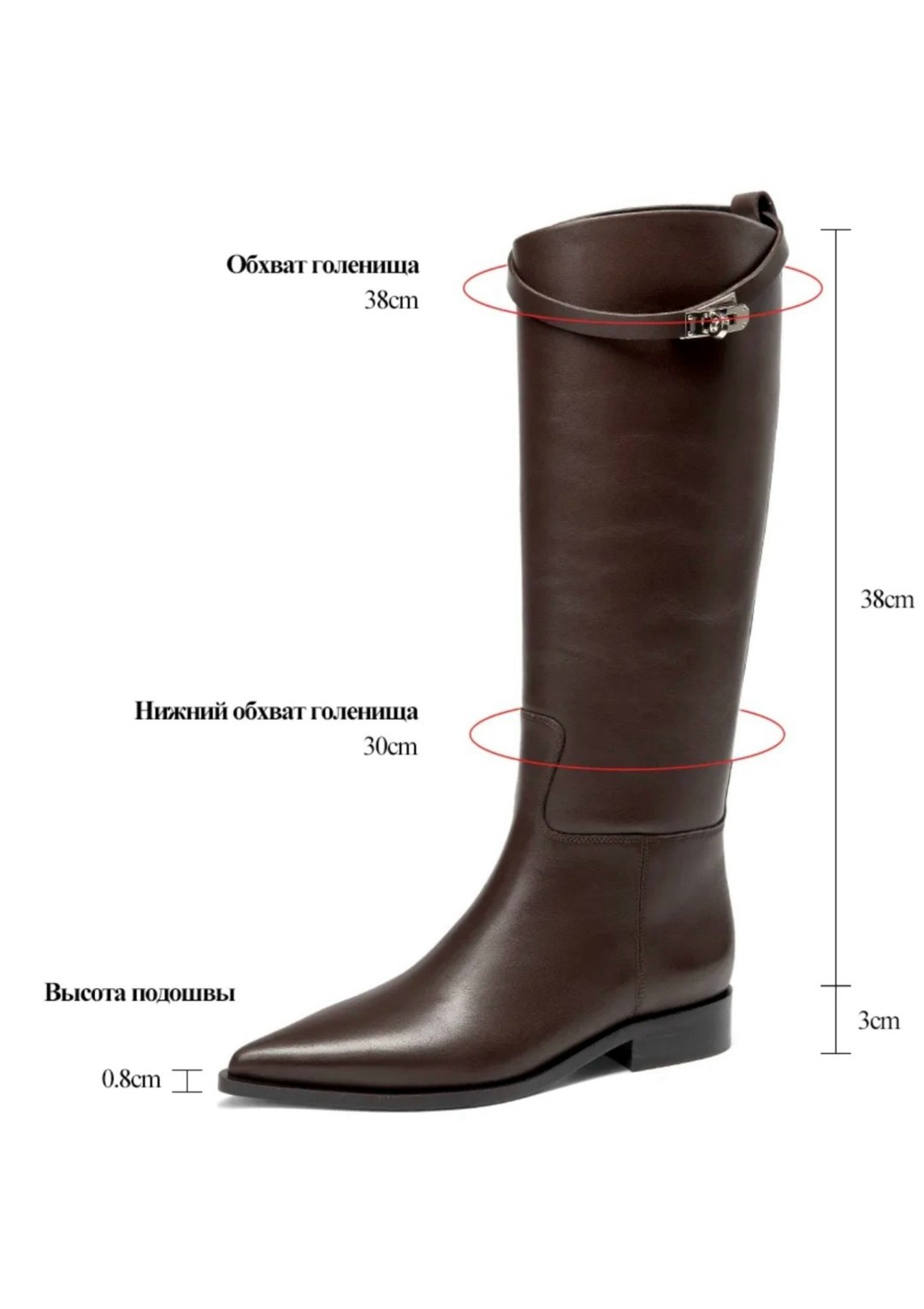 женские сапоги,высокие сапоги,сапоги до колен,кожаные сапоги,модные сапоги