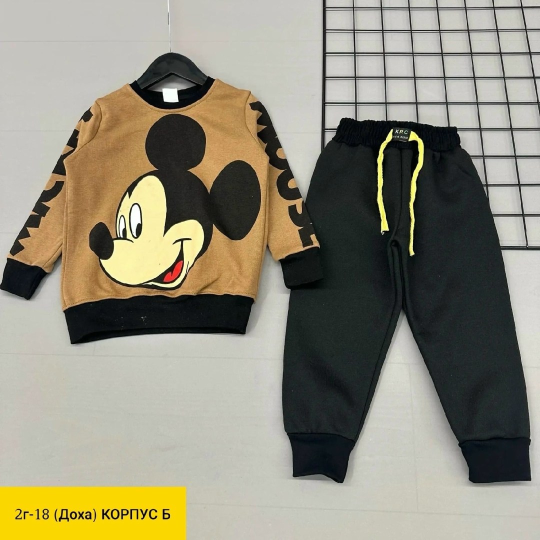 костюм детский на флисе,детский костюм,костюмы двойки,детские костюмы,костюмчик детский