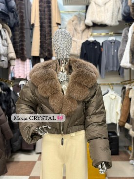 Верхняя одежда