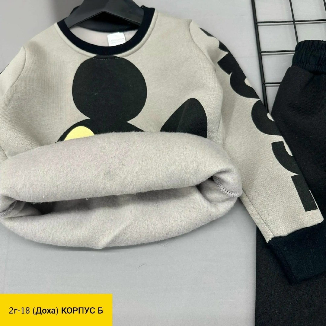 костюм детский на флисе,детский костюм,костюмы двойки,детские костюмы,костюмчик детский