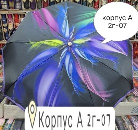 Одежда