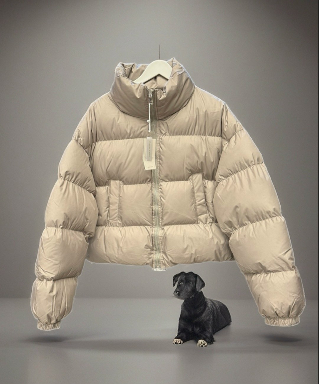 модные пуховики,куртка пуховик,пуховик короткий,женские пуховики,пуховик