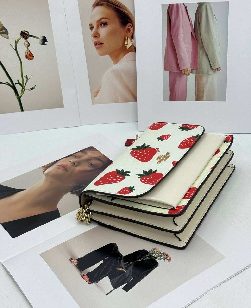 модная сумка,coach женская сумка,модная сумочка,coach сумка,сумка