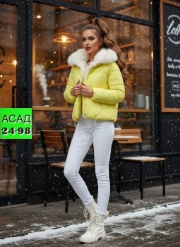 Верхняя одежда