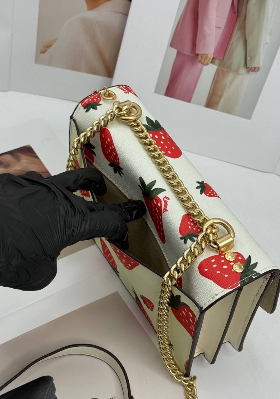 модная сумка,coach женская сумка,модная сумочка,coach сумка,сумка