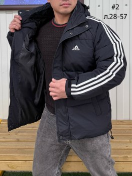 Верхняя одежда