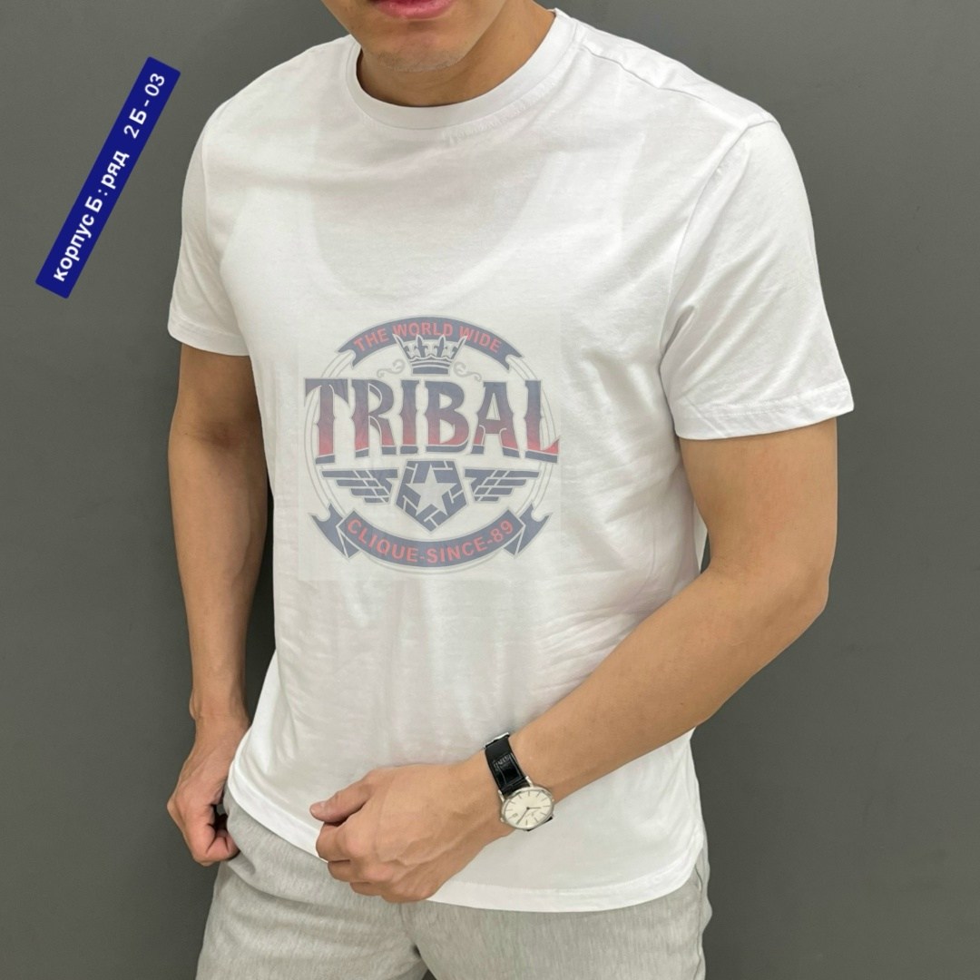 футболки мужские,футболки для мужчин,футболка,мужская футболка поло,майка мужские