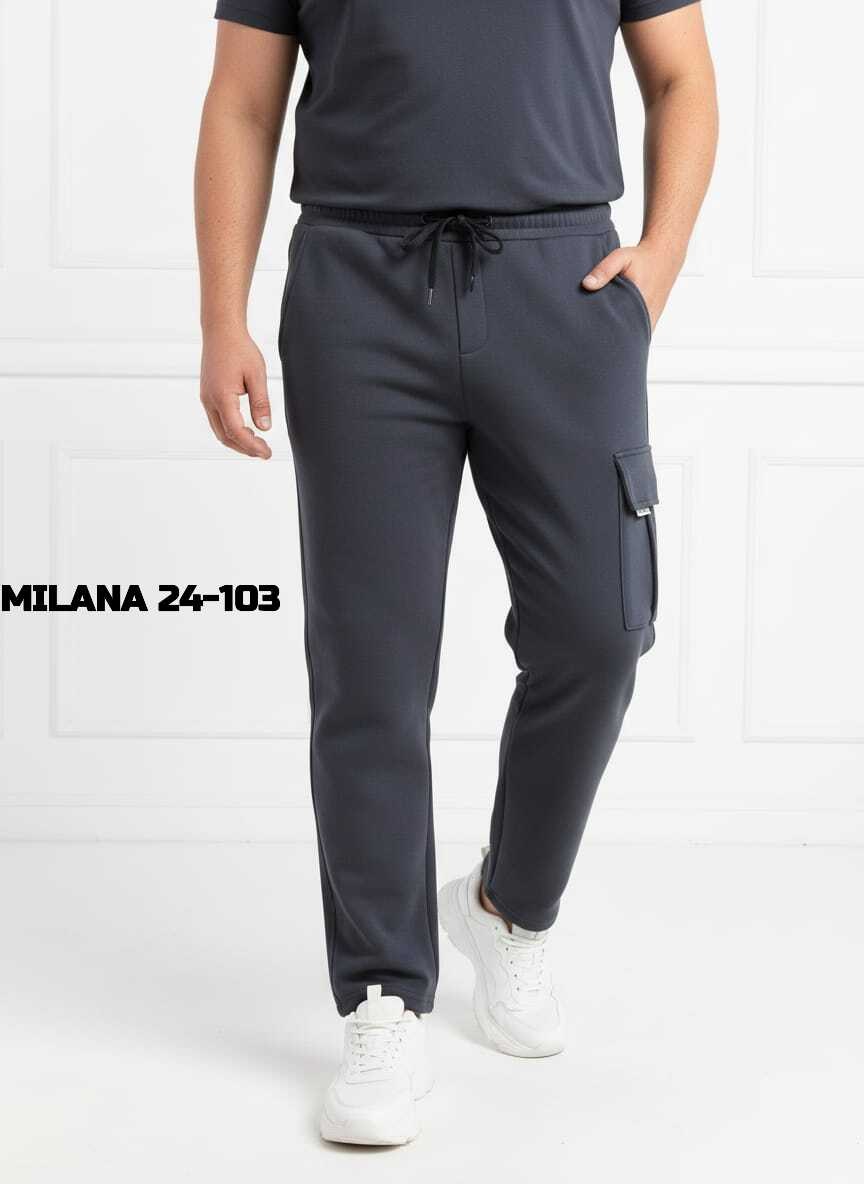 брюки джоггеры,спортивные брюки,брюки зауженные,спортивные штаны,брюки мужские