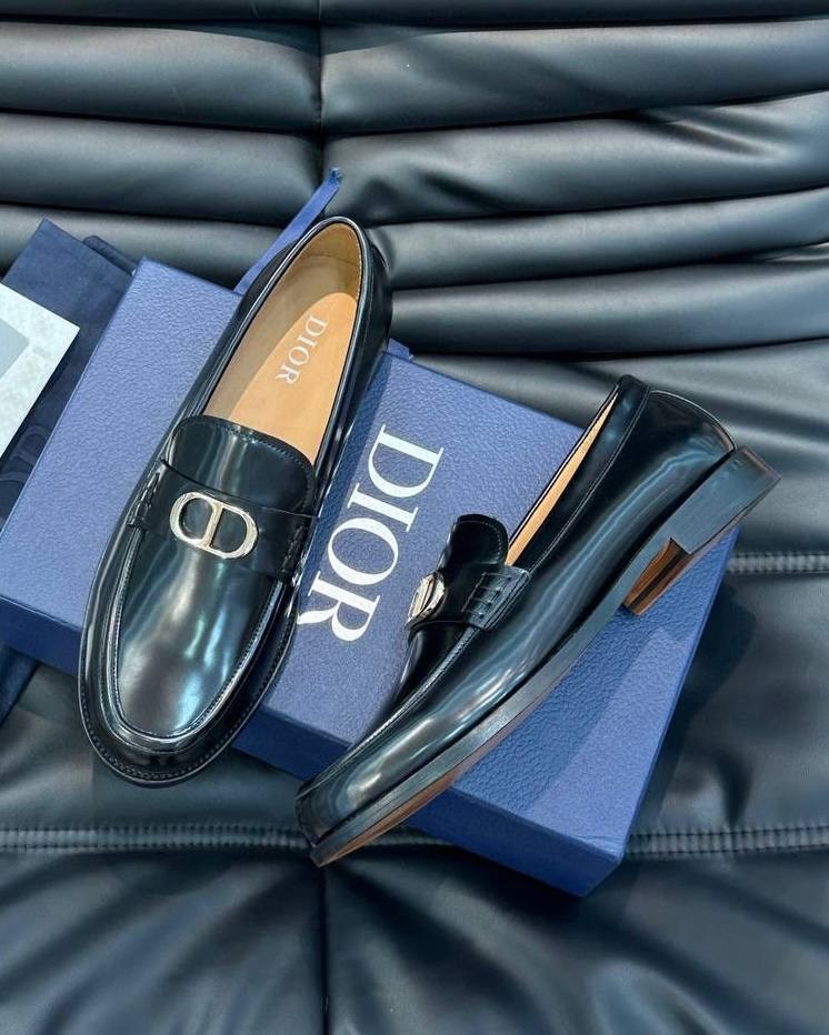 ,лоферы dior,лоферы диор,лоферы диор мужские,лоферы мужские