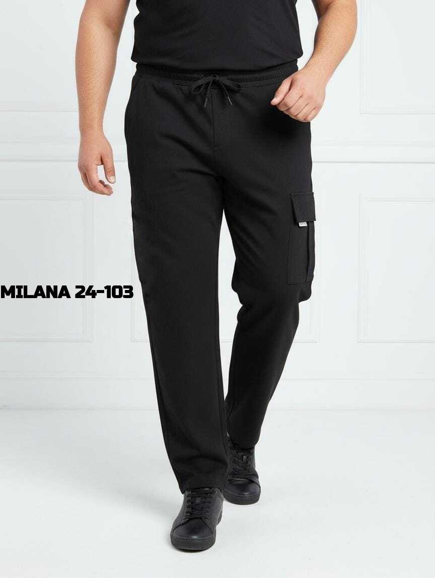 брюки джоггеры,спортивные брюки,брюки зауженные,спортивные штаны,брюки мужские