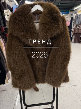 Верхняя одежда