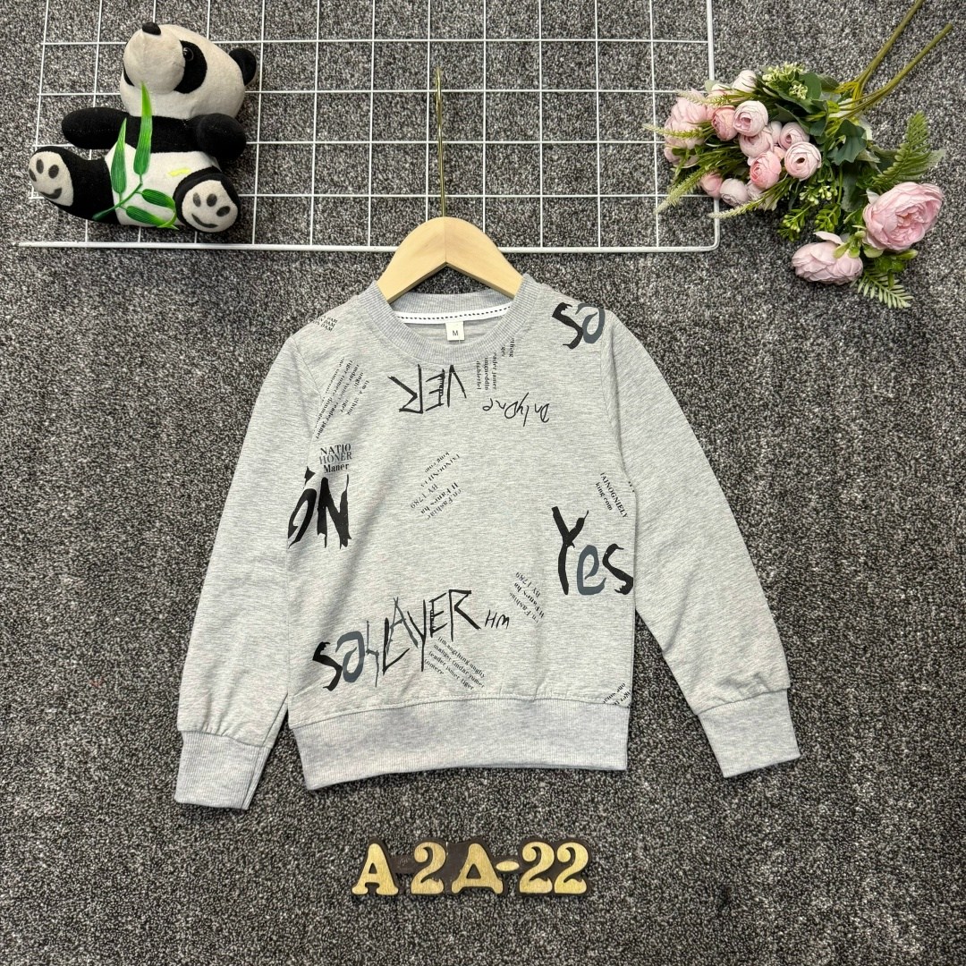 детский свитшот,детская кофта,cвитшот для мальчика,толстовка кофта,кофта для мальчика