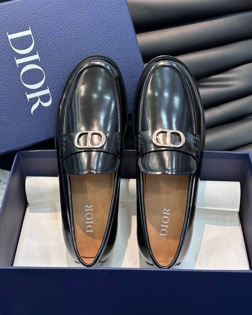 ,лоферы dior,лоферы диор,лоферы диор мужские,лоферы мужские
