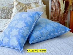 Одежда
