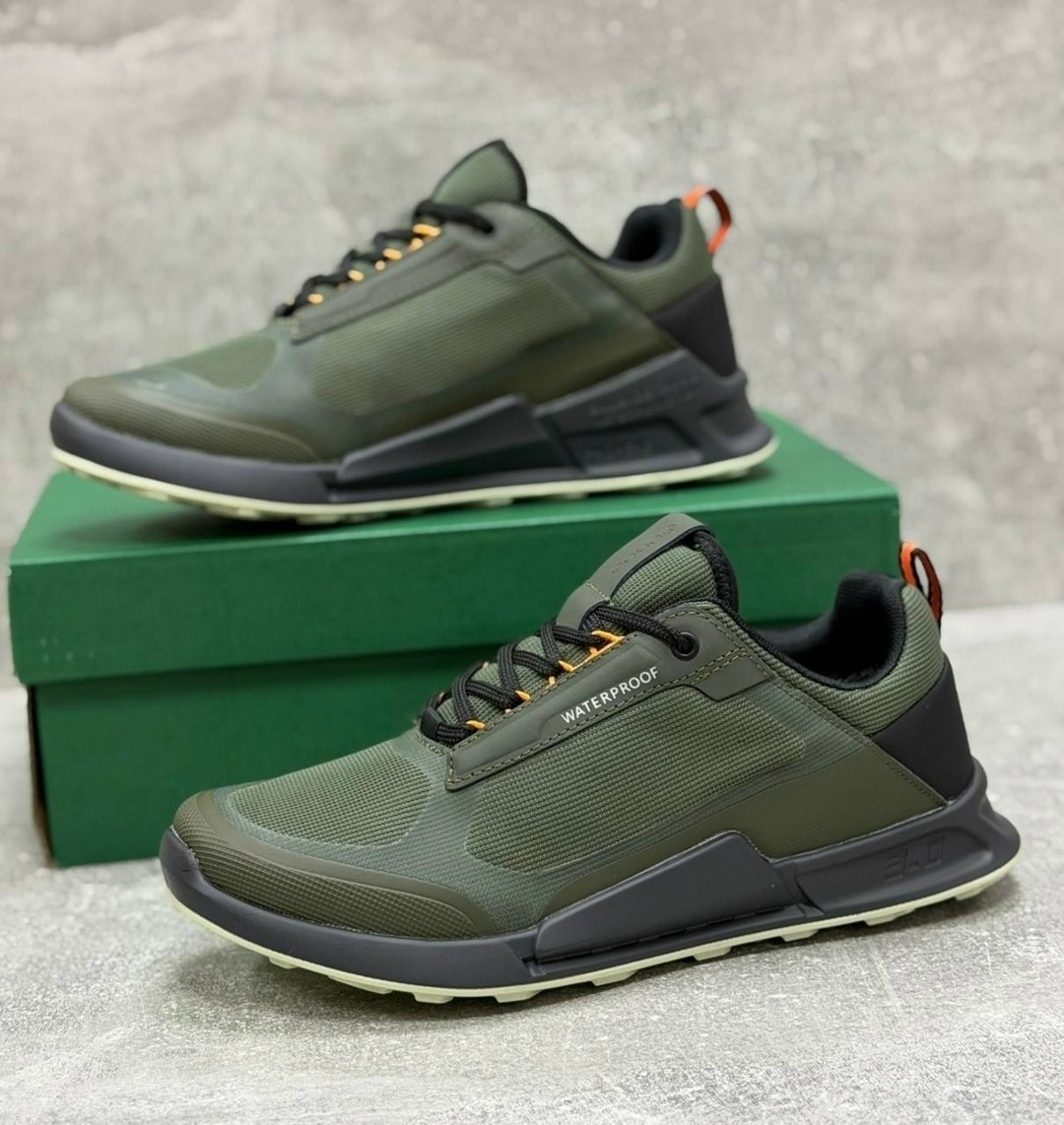 кроссовки ecco,кроссовки ecco biom,кроссовки,кроссовки мужские ecco,мужские кроссовки