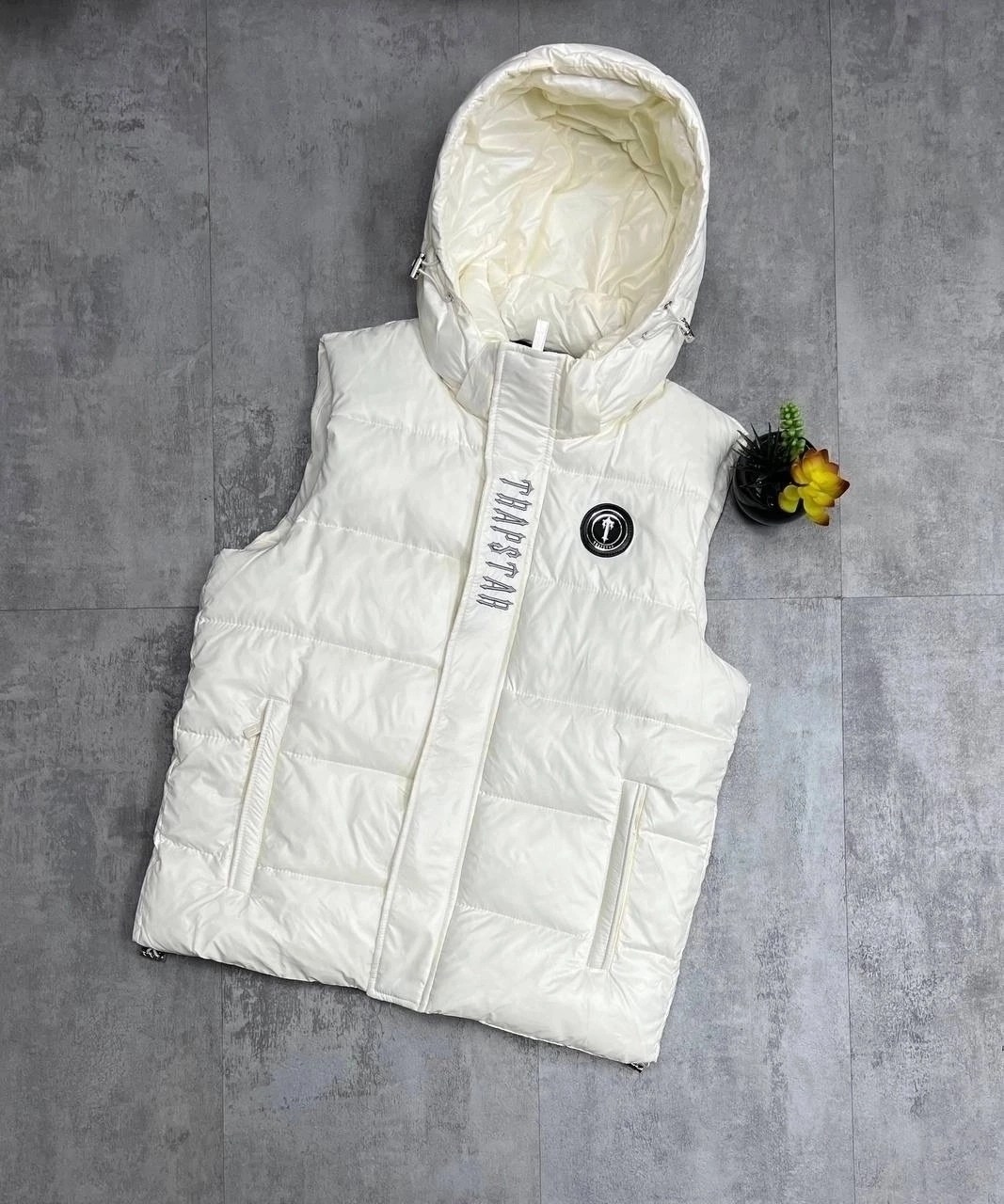 жилетка moncler,жилетка с капюшоном,жилетка монклер серая,жилетка moncler мужская,жилет moncler