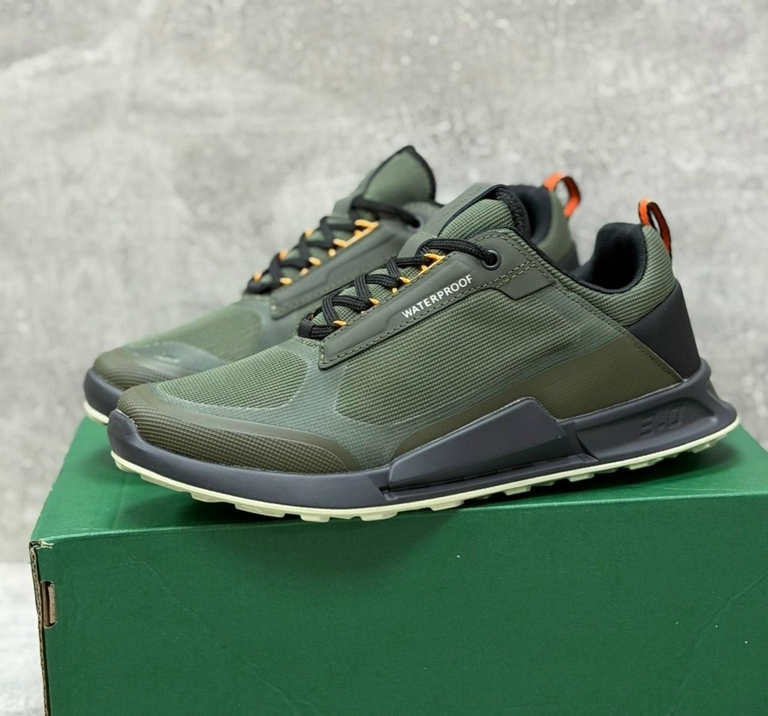 кроссовки ecco,кроссовки ecco biom,кроссовки,кроссовки мужские ecco,мужские кроссовки