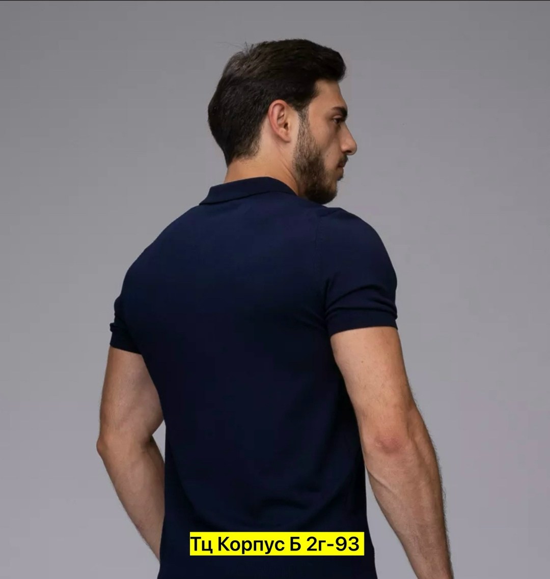 футболки мужские,мужская футболка поло,футболки для мужчин,универсальные футболки,футболки с воротником