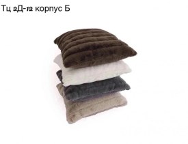 Одежда
