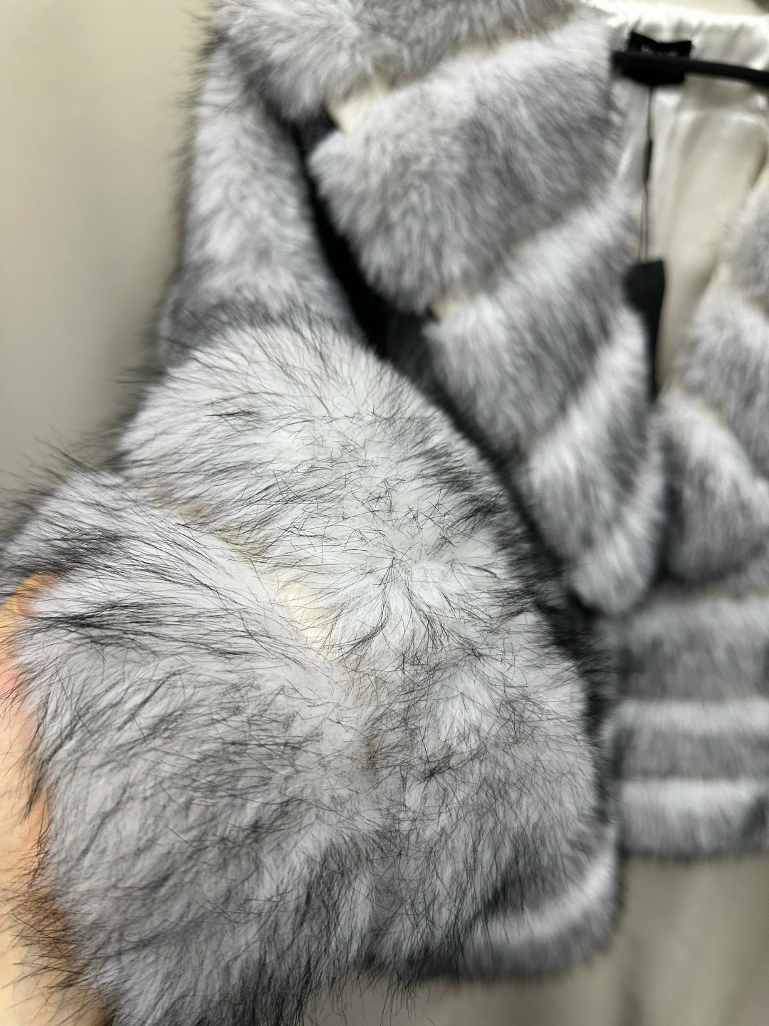 женская шуба из натурального меха кролика рекс,шиншилла шуба,шуба кролик рекс,женская шуба из натурального меха кролика,шуба из кролика рекс