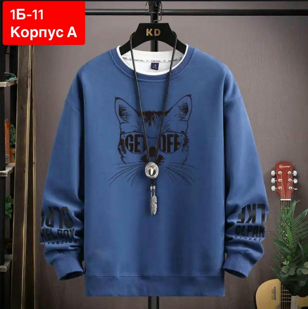 повседневный свитшот,мужская толстовка,толстовки кофта,кофта мужская,мужские свитшоты